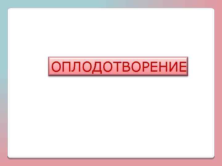 ОПЛОДОТВОРЕНИЕ 