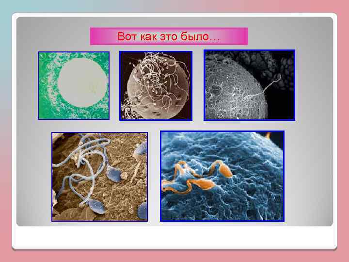 Вот как это было… 