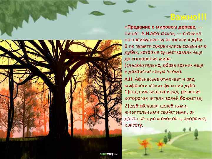 Важно!!! «Предание о мировом дереве, — пишет А. Н. Афанасьев, — славяне по преимуществу