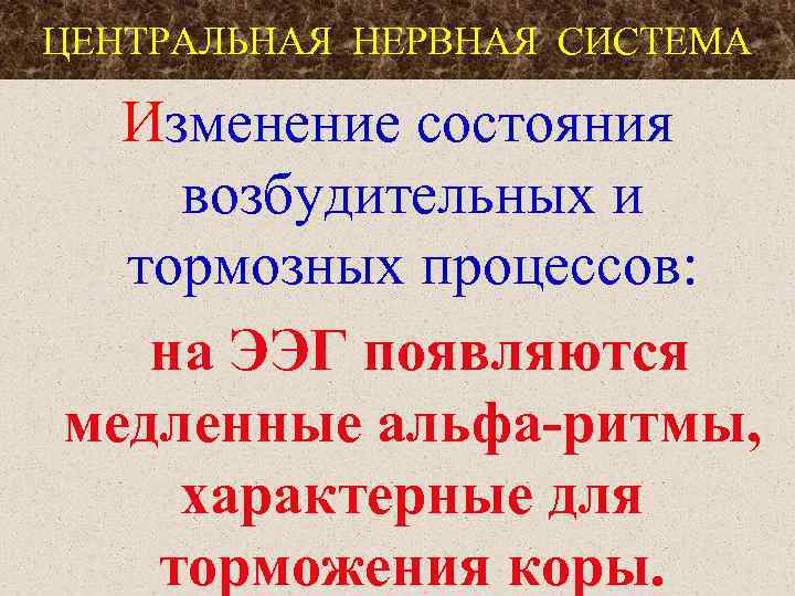 ЦЕНТРАЛЬНАЯ НЕРВНАЯ СИСТЕМА Изменение состояния возбудительных и тормозных процессов: на ЭЭГ появляются медленные альфа-ритмы,