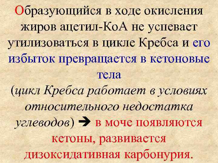 Образующийся в ходе окисления жиров ацетил-Ко. А не успевает утилизоваться в цикле Кребса и