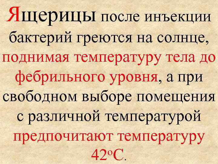 Ящерицы после инъекции бактерий греются на солнце, поднимая температуру тела до фебрильного уровня, а