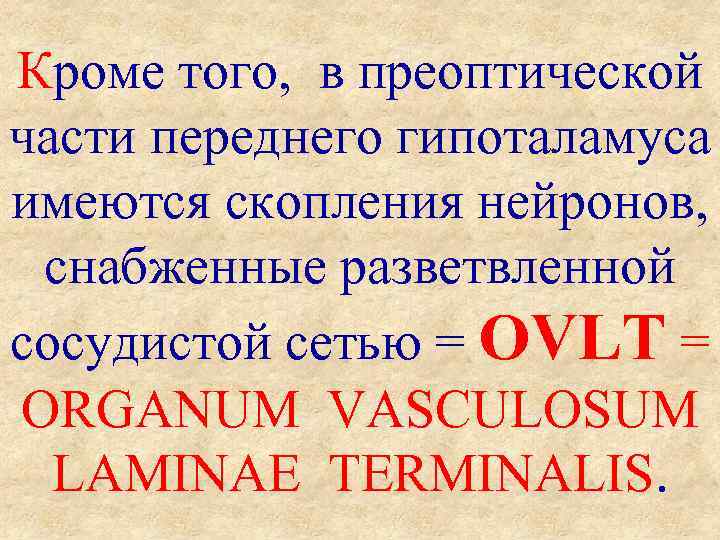 Кроме того, в преоптической части переднего гипоталамуса имеются скопления нейронов, снабженные разветвленной сосудистой сетью