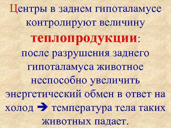 Центры в заднем гипоталамусе контролируют величину теплопродукции: после разрушения заднего гипоталамуса животное неспособно увеличить