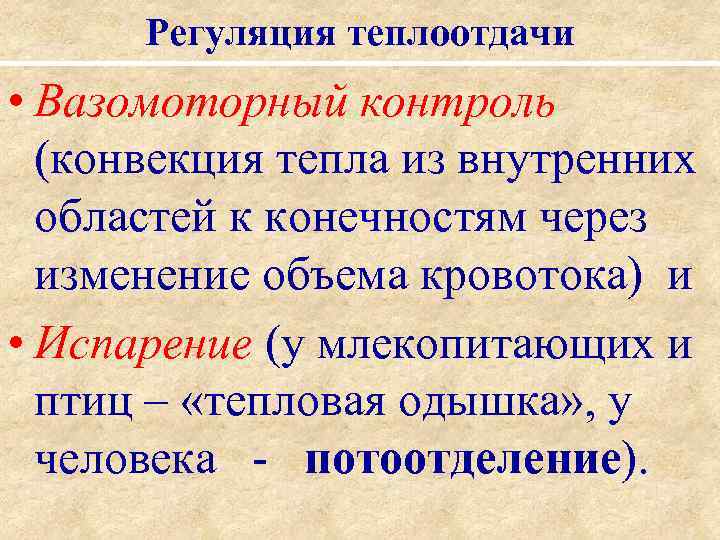 Регуляция теплоотдачи • Вазомоторный контроль (конвекция тепла из внутренних областей к конечностям через изменение