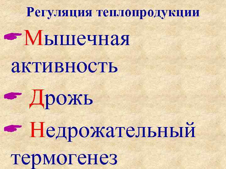 Регуляция теплопродукции Мышечная активность Дрожь Недрожательный термогенез 