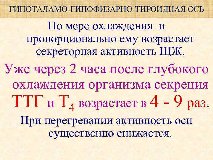 ГИПОТАЛАМО-ГИПОФИЗАРНО-ТИРОИДНАЯ ОСЬ По мере охлаждения и пропорционально ему возрастает секреторная активность ЩЖ. Уже через