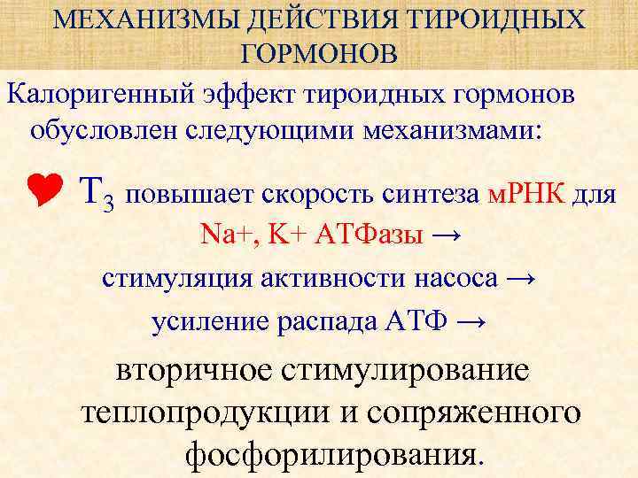 МЕХАНИЗМЫ ДЕЙСТВИЯ ТИРОИДНЫХ ГОРМОНОВ Калоригенный эффект тироидных гормонов обусловлен следующими механизмами: Т 3 повышает