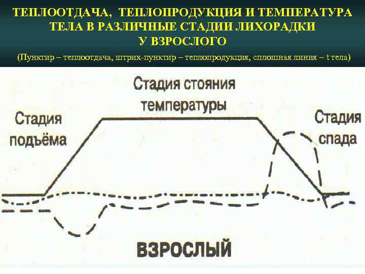 ТЕПЛООТДАЧА, ТЕПЛОПРОДУКЦИЯ И ТЕМПЕРАТУРА ТЕЛА В РАЗЛИЧНЫЕ СТАДИИ ЛИХОРАДКИ У ВЗРОСЛОГО (Пунктир – теплоотдача,