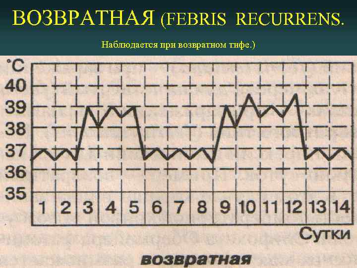 ВОЗВРАТНАЯ (FEBRIS RECURRENS. Наблюдается при возвратном тифе. ) 