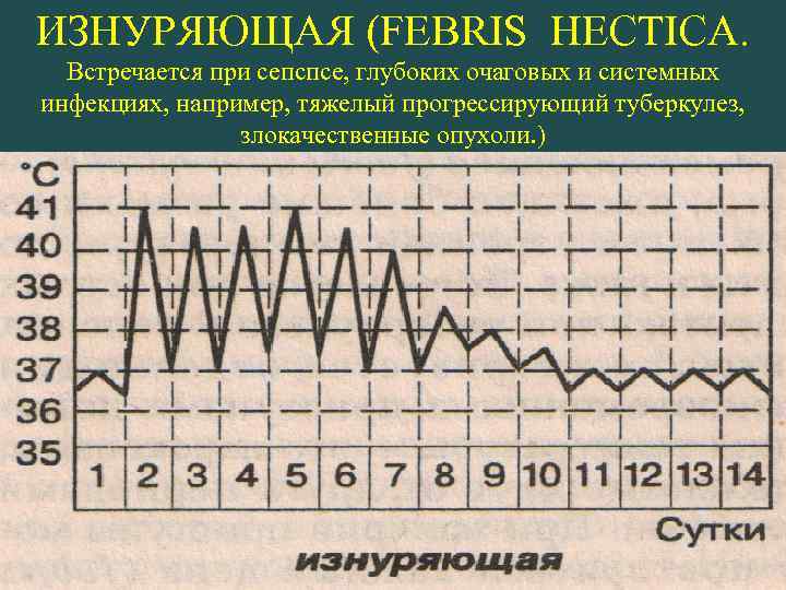 ИЗНУРЯЮЩАЯ (FEBRIS HECTICA. Встречается при сепспсе, глубоких очаговых и системных инфекциях, например, тяжелый прогрессирующий