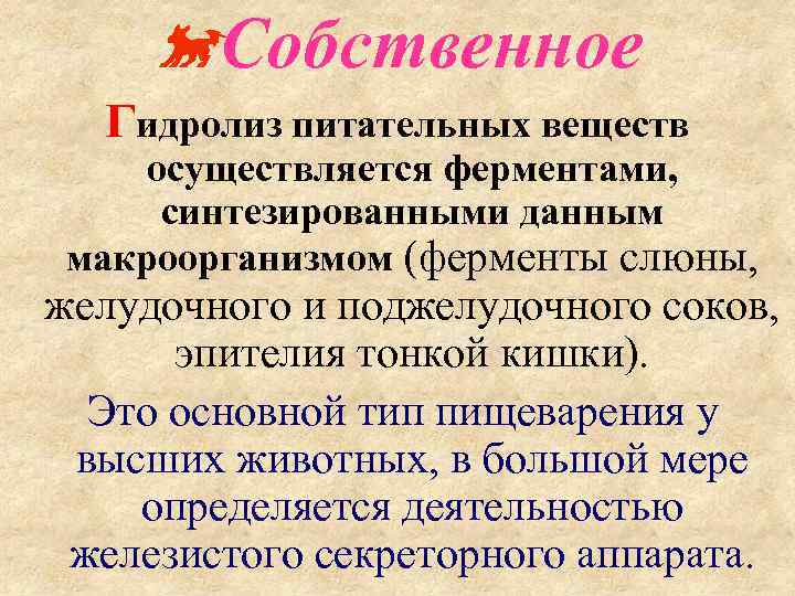  Собственное Гидролиз питательных веществ осуществляется ферментами, синтезированными данным макроорганизмом (ферменты слюны, желудочного и