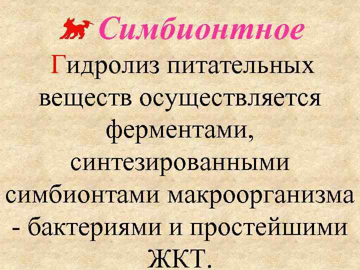  Симбионтное Гидролиз питательных веществ осуществляется ферментами, синтезированными симбионтами макроорганизма - бактериями и простейшими