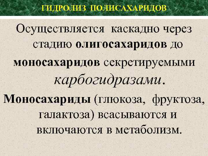 ГИДРОЛИЗ ПОЛИСАХАРИДОВ Осуществляется каскадно через стадию олигосахаридов до моносахаридов секретируемыми карбогидразами. Моносахариды (глюкоза, фруктоза,
