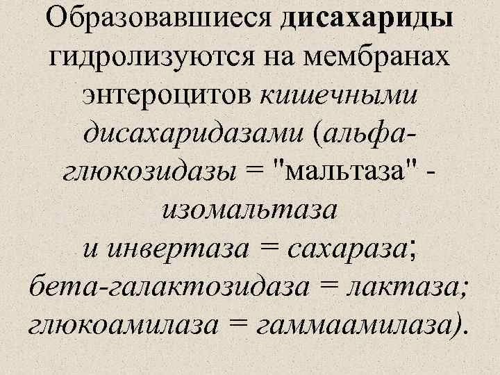 Образовавшиеся дисахариды гидролизуются на мембранах энтероцитов кишечными дисахаридазами (альфаглюкозидазы = 