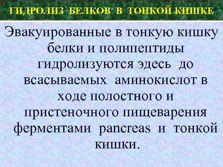 ГИДРОЛИЗ БЕЛКОВ В ТОНКОЙ КИШКЕ Эвакуированные в тонкую кишку белки и полипептиды гидролизуются эдесь