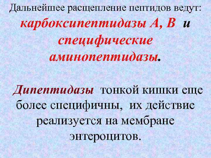 Дальнейшее расщепление пептидов ведут: карбоксипептидазы А, В и специфические аминопептидазы. Дипептидазы тонкой кишки еще