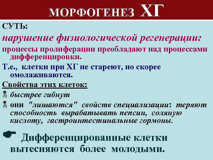 МОРФОГЕНЕЗ ХГ СУТЬ: нарушение физиологической регенерации: процессы пролиферации преобладают над процессами дифференцировки. Т. е.