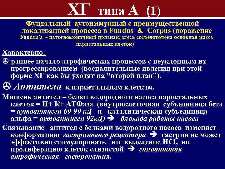 ХГ типа А (1) Фундальный аутоиммунный с преимущественной локализацией процесса в Fundus & Corpus