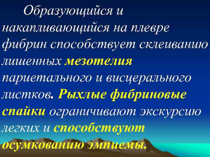 Образующийся и накапливающийся на плевре фибрин способствует склеиванию лишенных мезотелия париетального и висцерального листков.