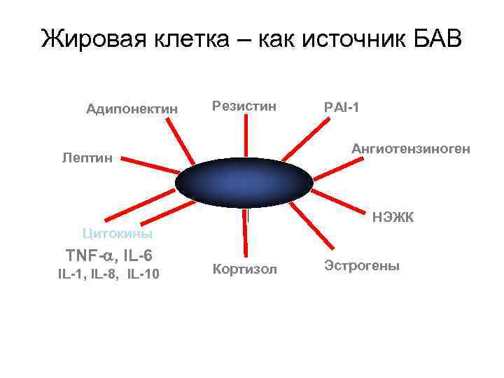 Резистин. Жировая клетка как источник БАВ. Адипонектин и резистин. Адипонектин механизм действия. Адипонектин инсулинорезистентность.