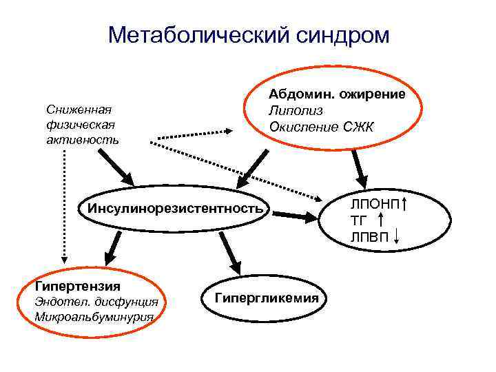 Метаболический синдром Абдомин. ожирение Липолиз Окисление СЖК Сниженная физическая активность Инсулинорезистентность Гипертензия Эндотел. дисфунция