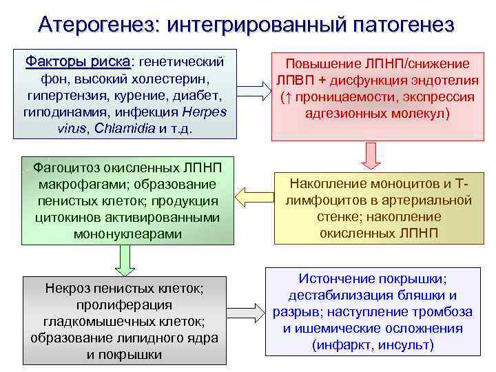 Атерогенез: интегрированный патогенез Факторы риска: генетический фон, высокий холестерин, гипертензия, курение, диабет, гиподинамия, инфекция
