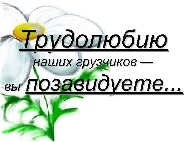 Трудолюбию наших грузчиков — вы позавидуете. . . 