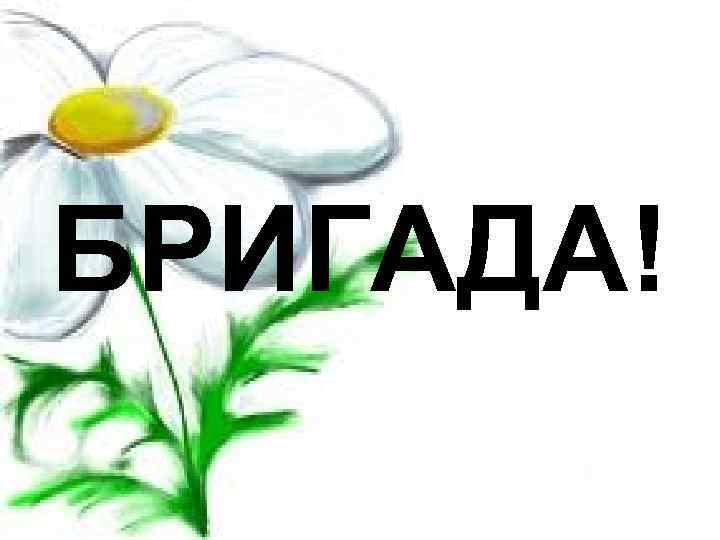 БРИГАДА! 