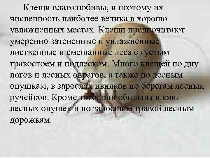 Клещи влаголюбивы, и поэтому их численность наиболее велика в хорошо увлажненных местах. Клещи предпочитают