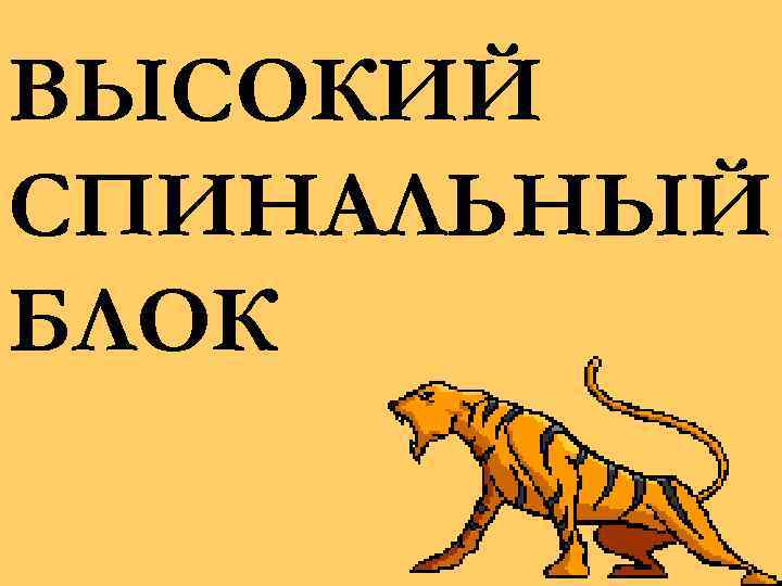 ВЫСОКИЙ СПИНАЛЬНЫЙ БЛОК 