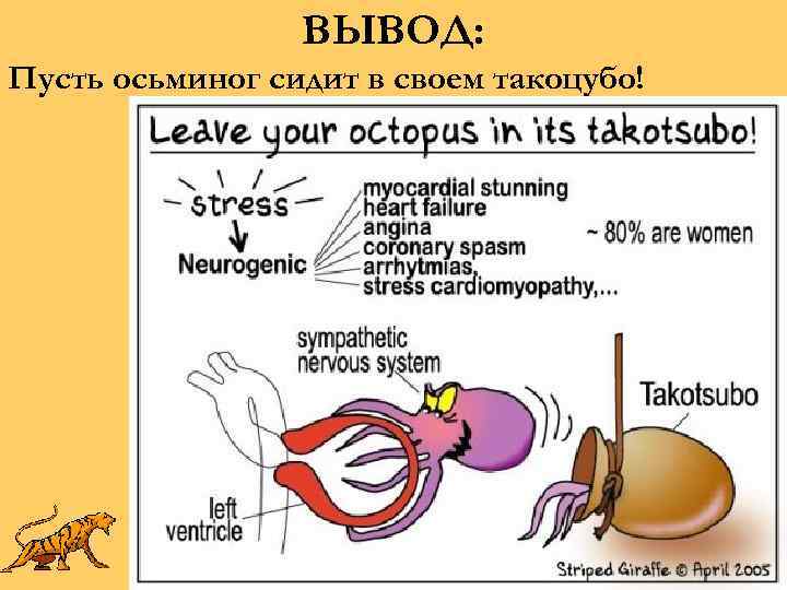 ВЫВОД: Пусть осьминог сидит в своем такоцубо! 