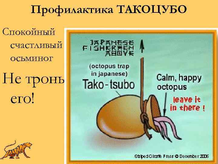 Профилактика ТАКОЦУБО Спокойный счастливый осьминог Не тронь его! 
