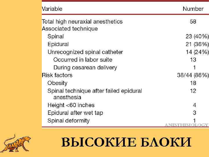 ВЫСОКИЕ БЛОКИ 