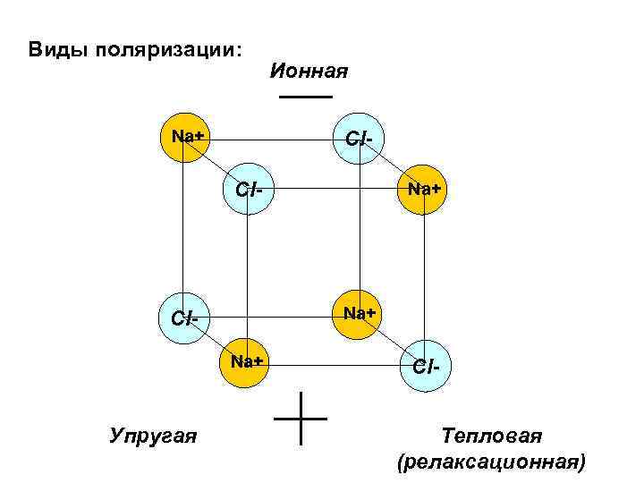 Виды поляризации: Na+ Ионная Cl- Na+ Cl. Na+ Упругая Na+ Cl. Тепловая (релаксационная) 