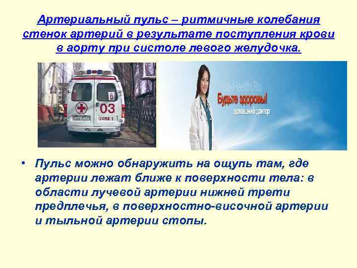 Артериальный пульс – ритмичные колебания стенок артерий в результате поступления крови в аорту при