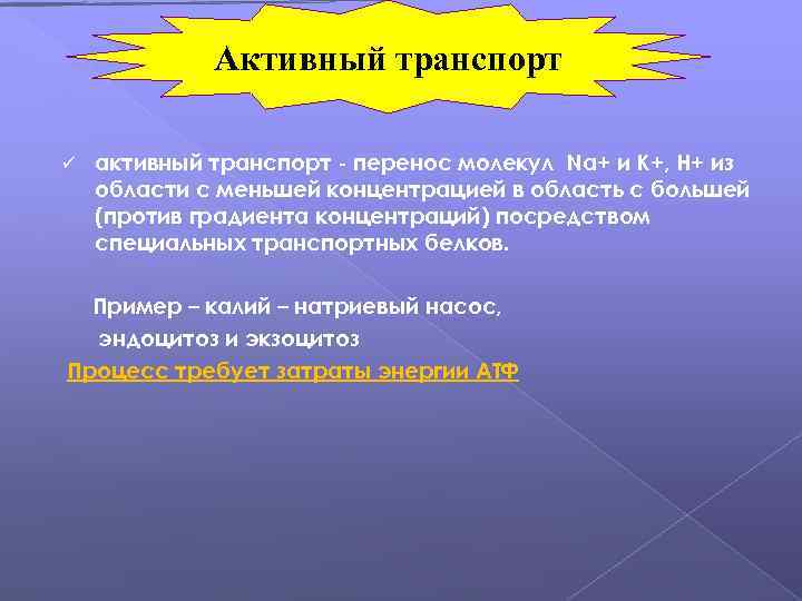 Активный транспорт ü активный транспорт - перенос молекул Na+ и K+, H+ из области