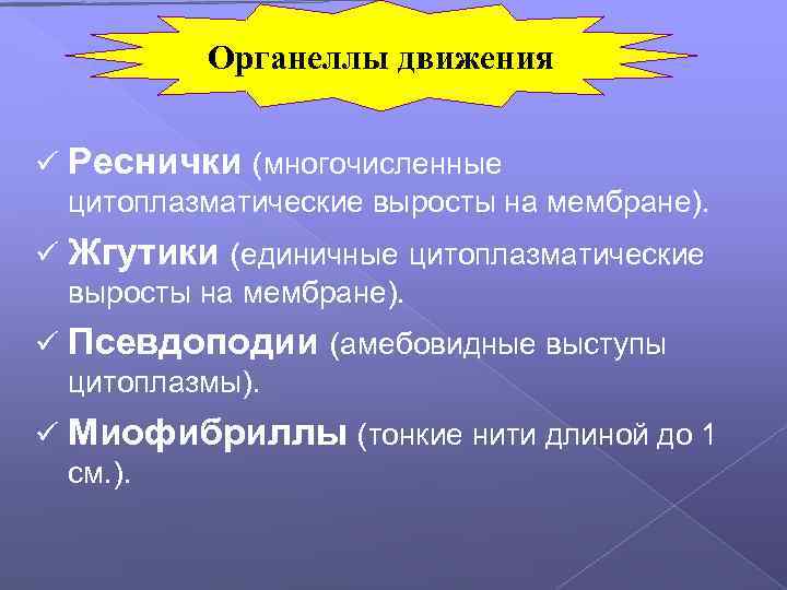 Органеллы движения ü Реснички (многочисленные цитоплазматические выросты на мембране). ü Жгутики (единичные цитоплазматические выросты