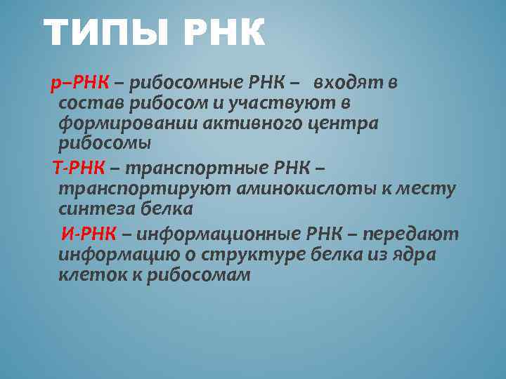 ТИПЫ РНК р–РНК – рибосомные РНК – входят в состав рибосом и участвуют в