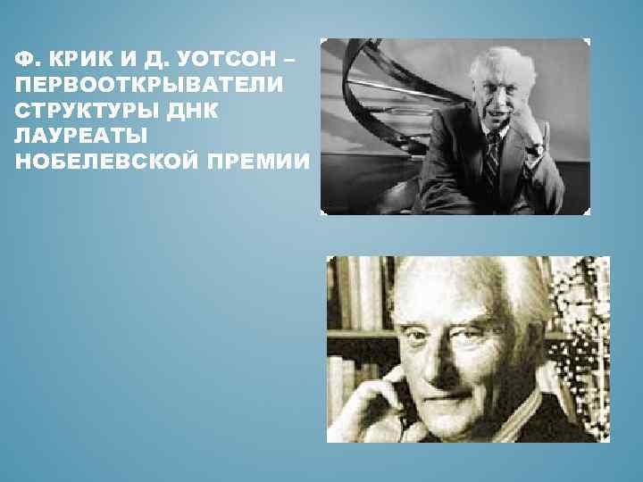Ф. КРИК И Д. УОТСОН – ПЕРВООТКРЫВАТЕЛИ СТРУКТУРЫ ДНК ЛАУРЕАТЫ НОБЕЛЕВСКОЙ ПРЕМИИ 
