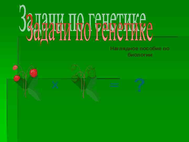 Наглядное пособие по биологии Х = ? 