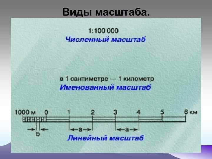 Виды масштаба. 
