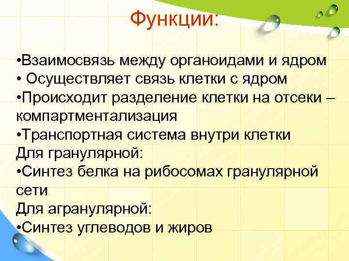 Функции: • Взаимосвязь между органоидами и ядром • Осуществляет связь клетки с ядром •