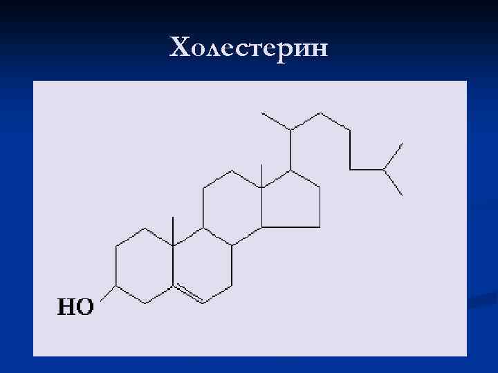 Холестерин 