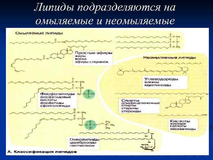 Омыляемые и неомыляемые липиды презентация