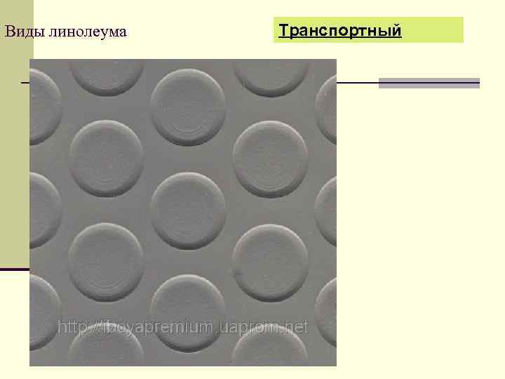 Виды линолеума Транспортный 