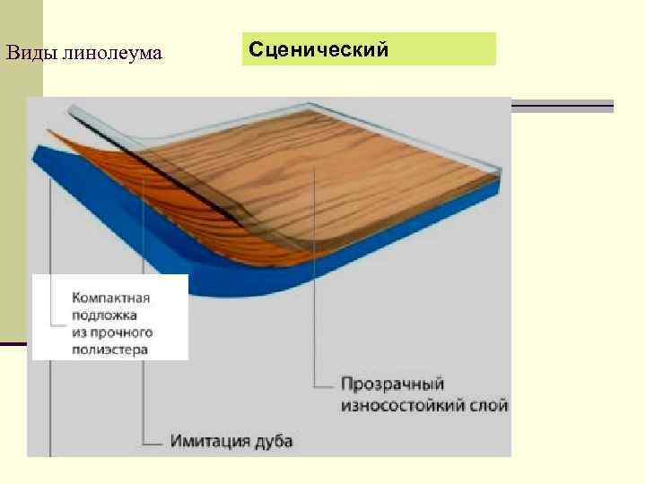 Виды линолеума Сценический 