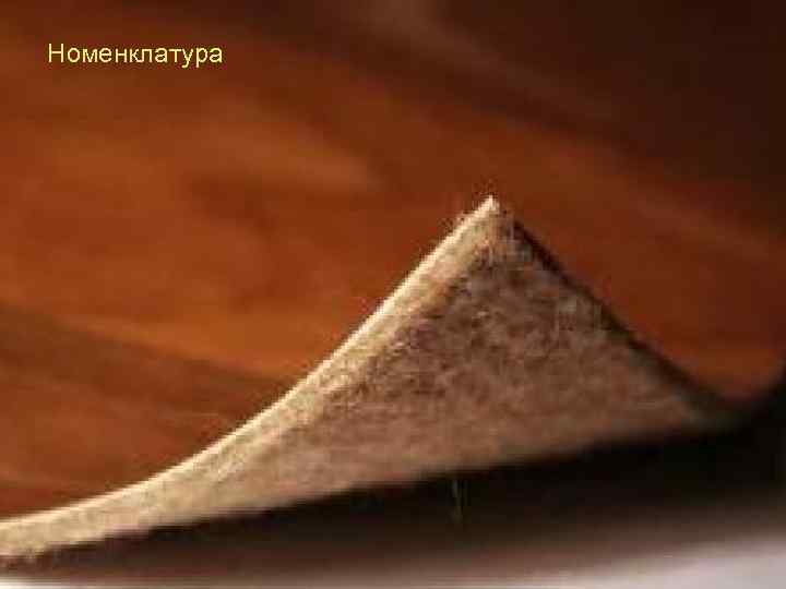 Номенклатура 