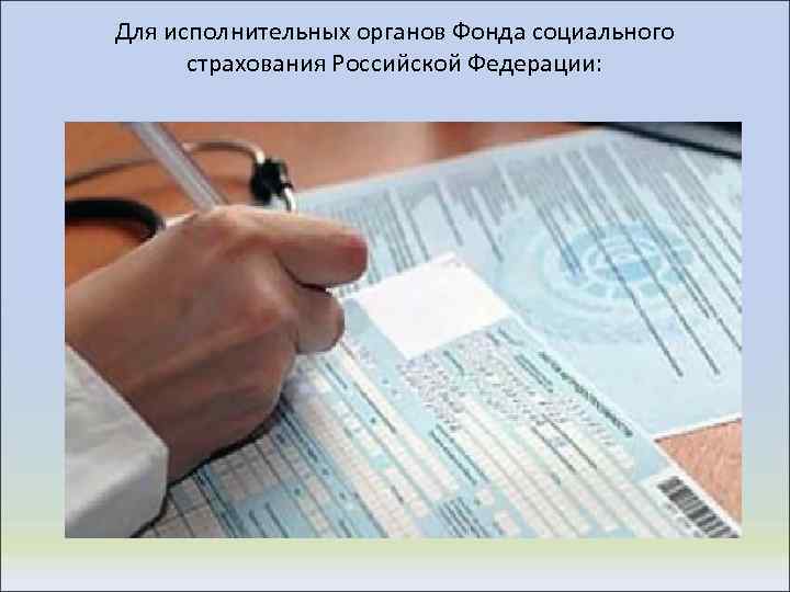 Для исполнительных органов Фонда социального страхования Российской Федерации: 
