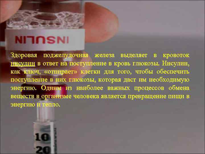 Здоровая поджелудочная железа выделяет в кровоток инсулин в ответ на поступление в кровь глюкозы.